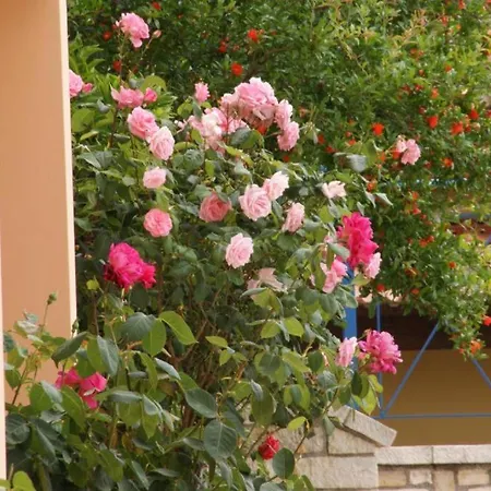 View Luxury 바바티