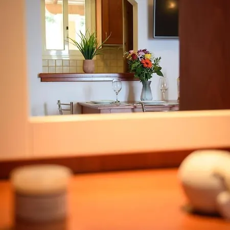 View Luxury Apartman *